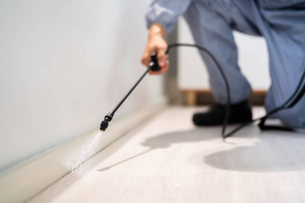 Certified termite inspector examining foundation in Pleasant View