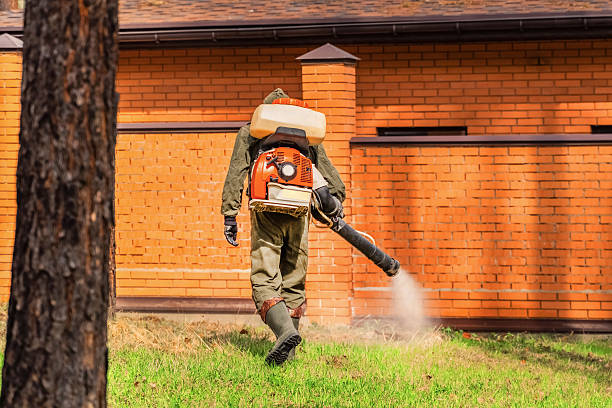 Top rated local Mosquito Control specialists in Pleasant View, TN